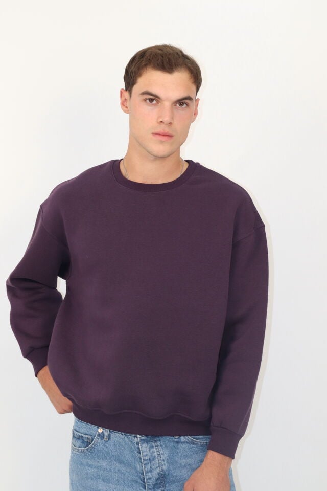 Box Fit Oversize Bisiklet Yaka Erkek Sweatshirt | VENTOV MOR - XL