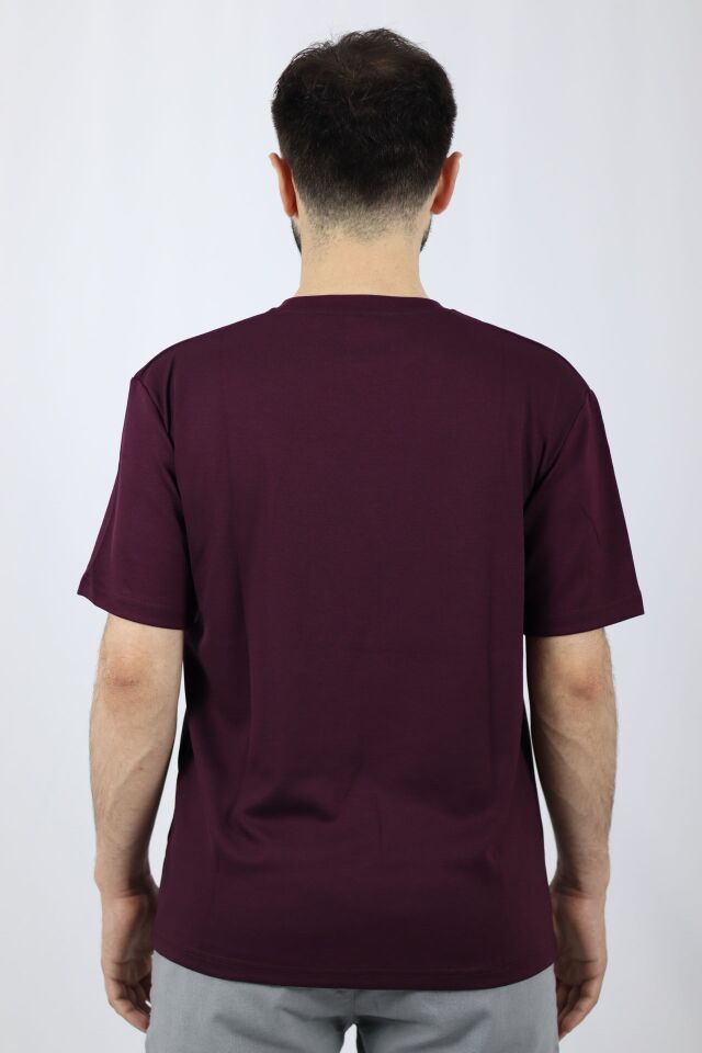 Regular Fit Bisiklet Yaka Erkek Tişört | VENTOV Bordo - M